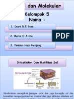 Kelompok 5