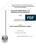 Tesis José Gpe. Cruz Alanis PDF
