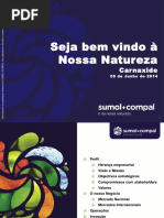 Slides Ipq - Claudia Santos