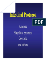 Intestinal Protozoa PDF