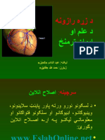 Heart Secrets Pashto