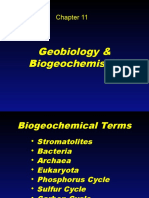 11 Geobiology