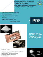 Presentacion PIVA Cocaina