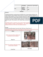 575 Format Jurnal