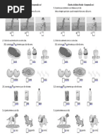 Cãozinho SidonoMuralha Ed Lit 2ano