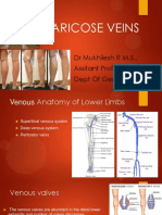 Varicose Veins Guide: Causes, Symptoms, Treatments