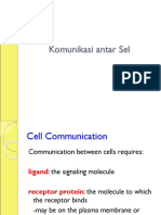 Molecular Biologi Fisioterapi 2011 - 06 Cell Communications