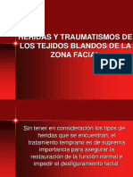 Heridas y Traumatismos de Los Tejidos Blandos