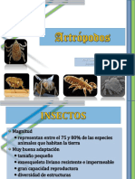 Artrópodos (3).pptx