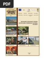 Download Strategia de Dezvoltare a Turismului Cultural Banat by Diana Naicu SN36932228 doc pdf