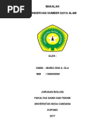Download MAKALAH KONSERVASI SUMBER DAYA ALAMdocx by ona ola SN369331621 doc pdf