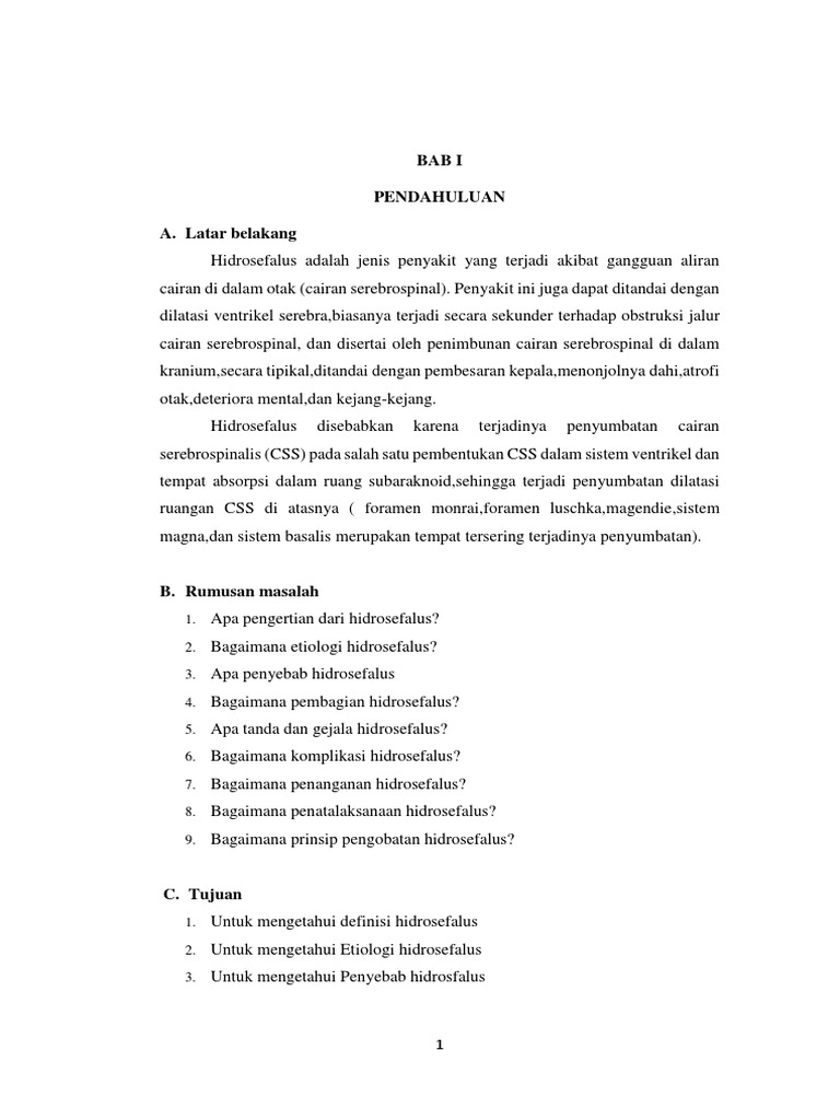 Makalah Askep Pada Anak Hidrosefalus PDF