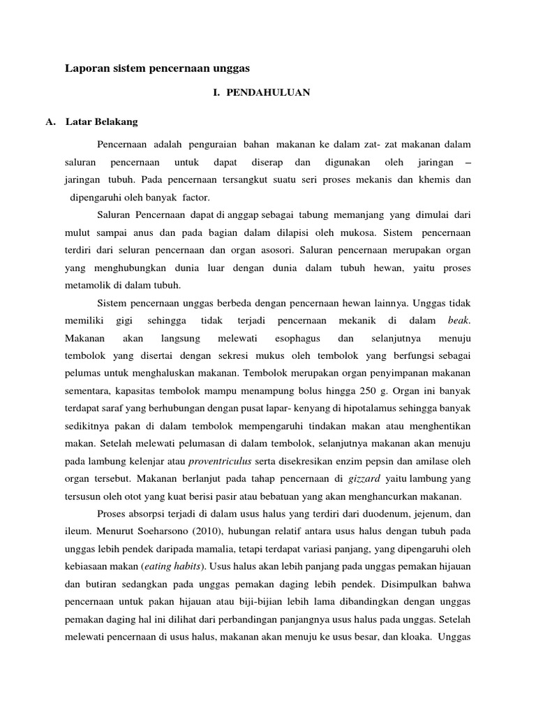 96 Gambar Sistem Pencernaan Unggas Gratis