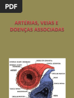 Artérias