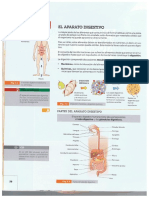 Aparato Respitatorio y Digestivo PDF