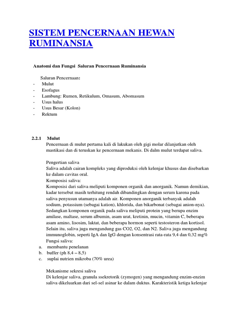 Sistem Pencernaan Hewan Ruminansia