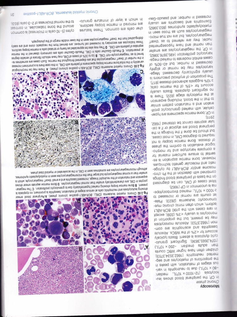 CML 2 PDF | PDF