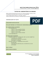 80_Micropropagacao_laboratorio_ensino.pdf