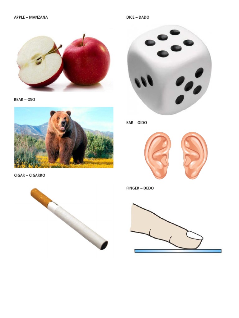 Abecedario Ingles-español Ilustrado