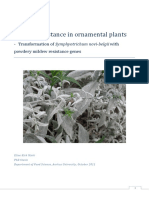 Disease Resistance In OrnamentalPlants