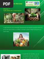 Agricultura de Conservação