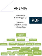 76873512-Anemia-Widad.pptx