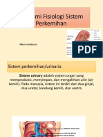 296544192-Anatomi-Fisiologi-Sistem-Perkemihan.pptx