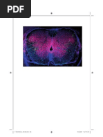 Download Elkins VisualPracticeUniversity180-305 2007 by nighb SN36937575 doc pdf