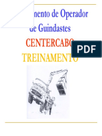 apostila Operador de Guindaste VEICULAR  2010.pdf