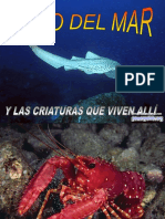 Criaturas Del Mar-8804