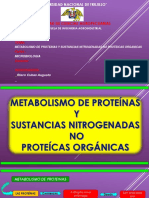 Metabolismo de Las Proteinas y Sustancias No Nitrogenadas