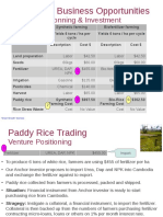 Venture Positioning - Paddy Rice Farming