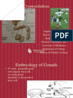 Cryptorchidism Guide: Embryology, Causes, Classification