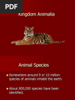 Kingdom Animalia