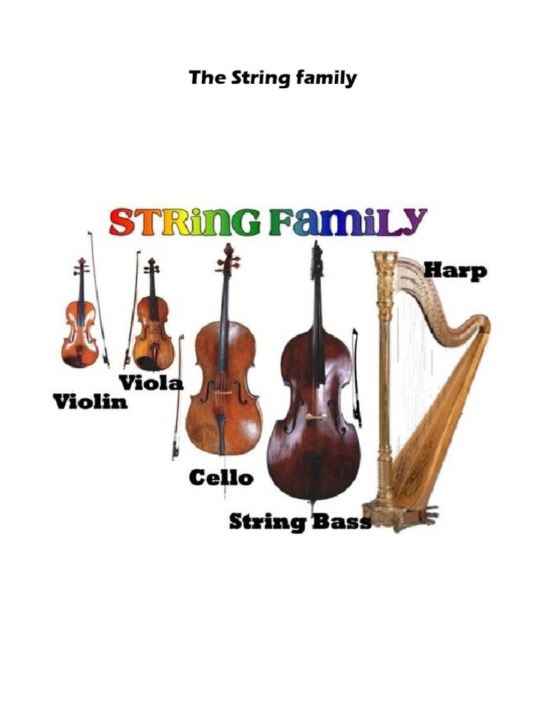 Overview of Musical Instrument Families | PDF