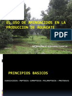 El Uso de Aminoácidos en La Producción de Aguacate