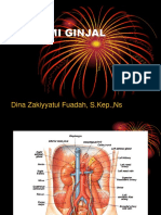 Dhina Z.anatomi Ginjal