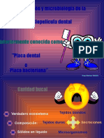 Formación microbiológica de la biopelícula dental