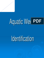 Aquatic Weed