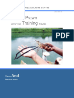 Fresh Water Prawn Farming Course