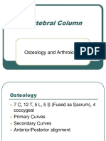 Vertebral Column