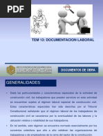 Tema 13 Regimen Laboral