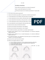 Exercicis de Nomenclatura Dentària