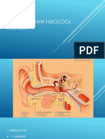 Anatomi Dan Fisiologi Telinga
