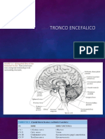 TRONCO ENCEFALICO.pptx