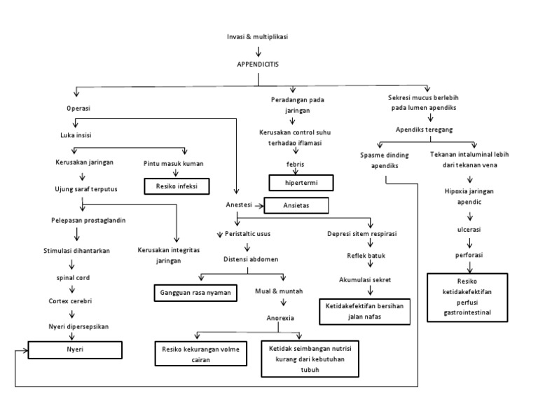 Pathway Apendisitis dan Apendiktomi | PDF