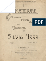 Negri_sfumature.pdf