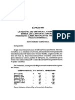 Gas Natural en Venezuela