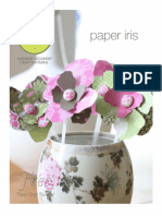 PaperIris.pdf