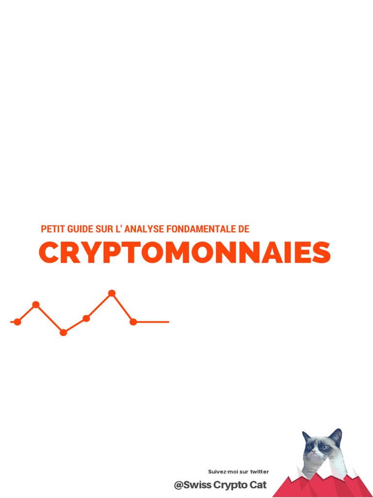 Guide Analyse Fondamentale Crypto | PDF | Business
